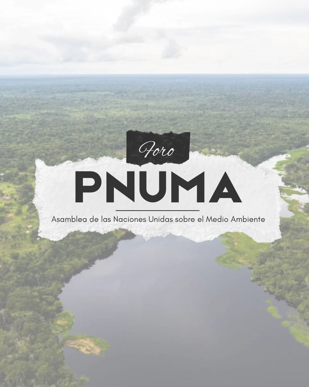 Portada del Foro PNUMA, Asamblea de las Naciones Unidas sobre el Medio Ambiente