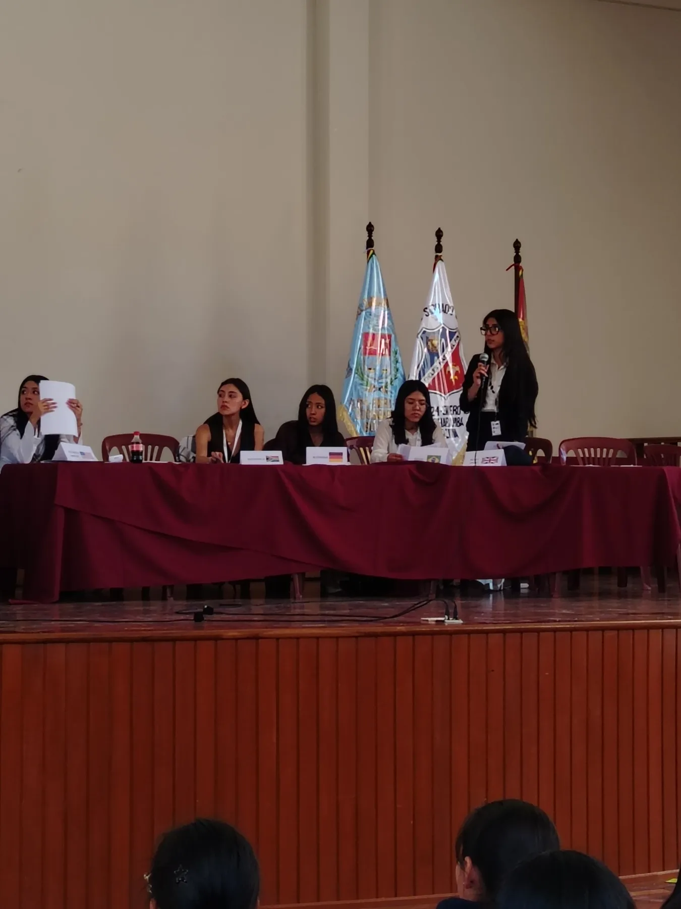 Delegados participando en una simulación de foro del Mini ESCJMUN, imagen 08